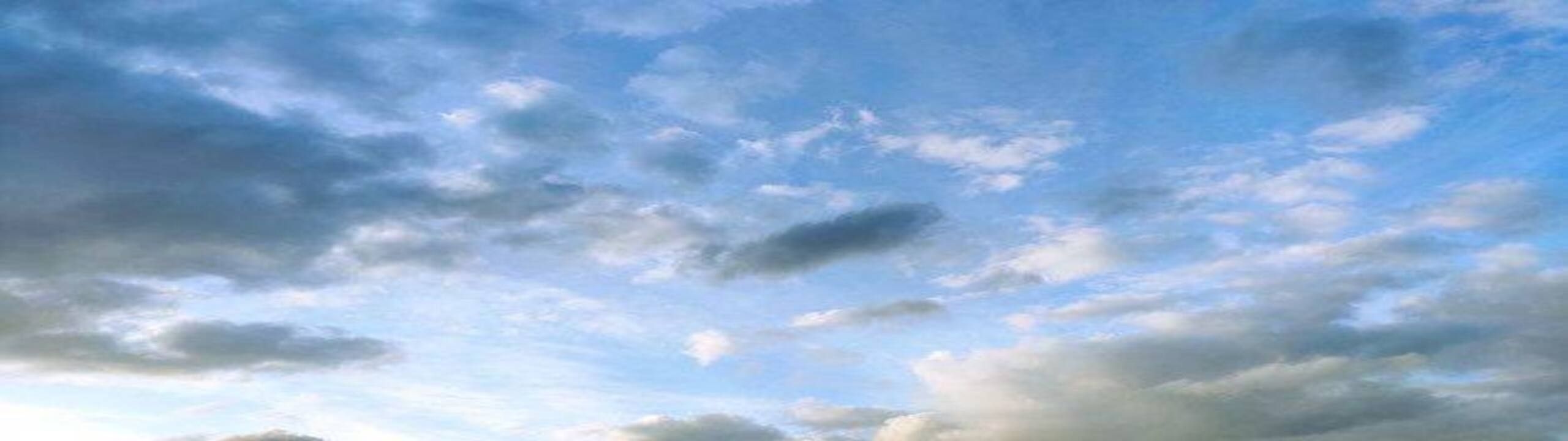 Profile Banner