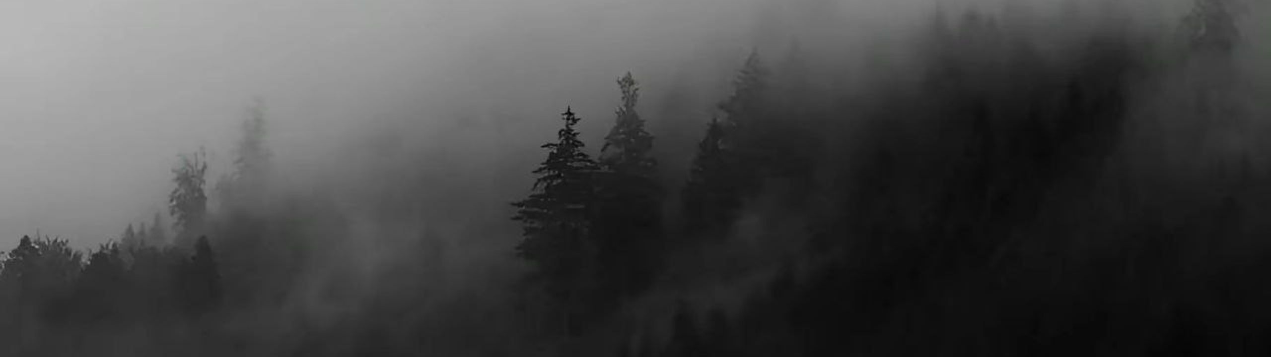 Profile Banner