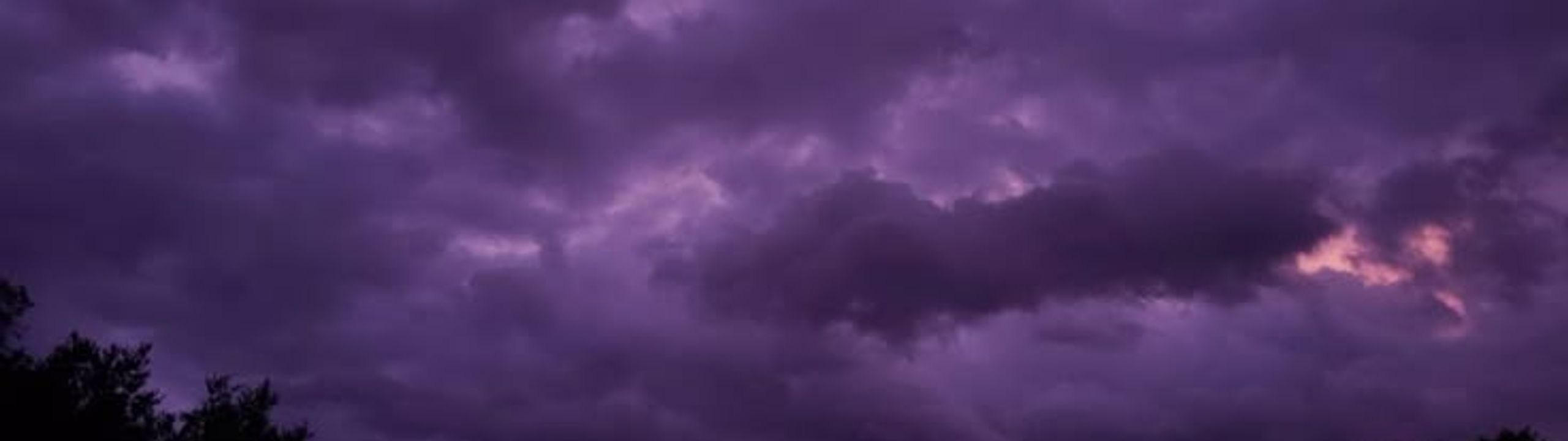 Profile Banner