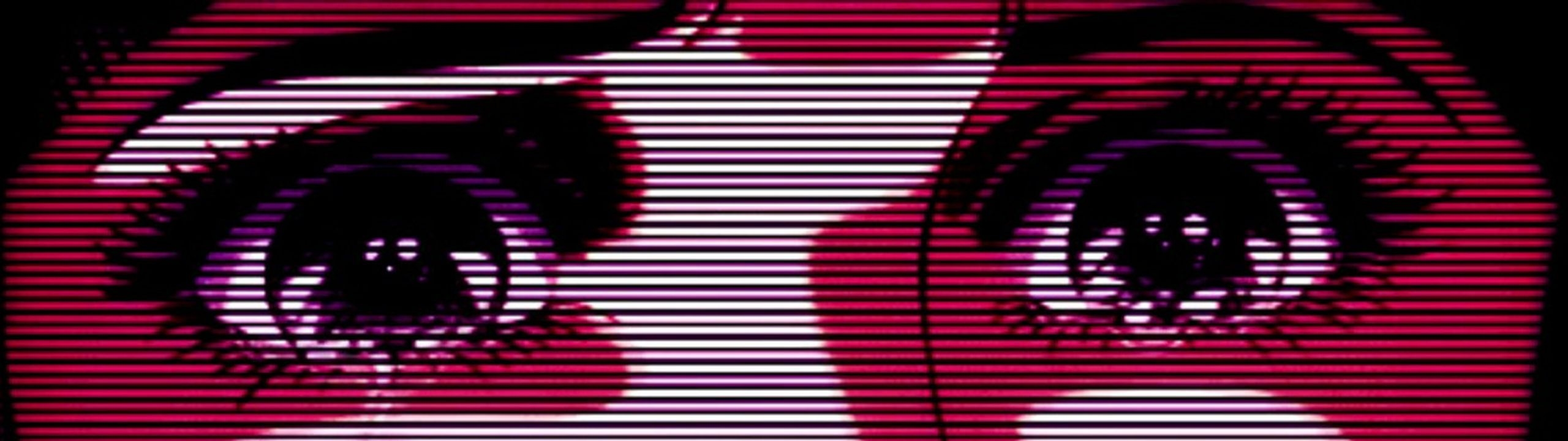 Profile Banner
