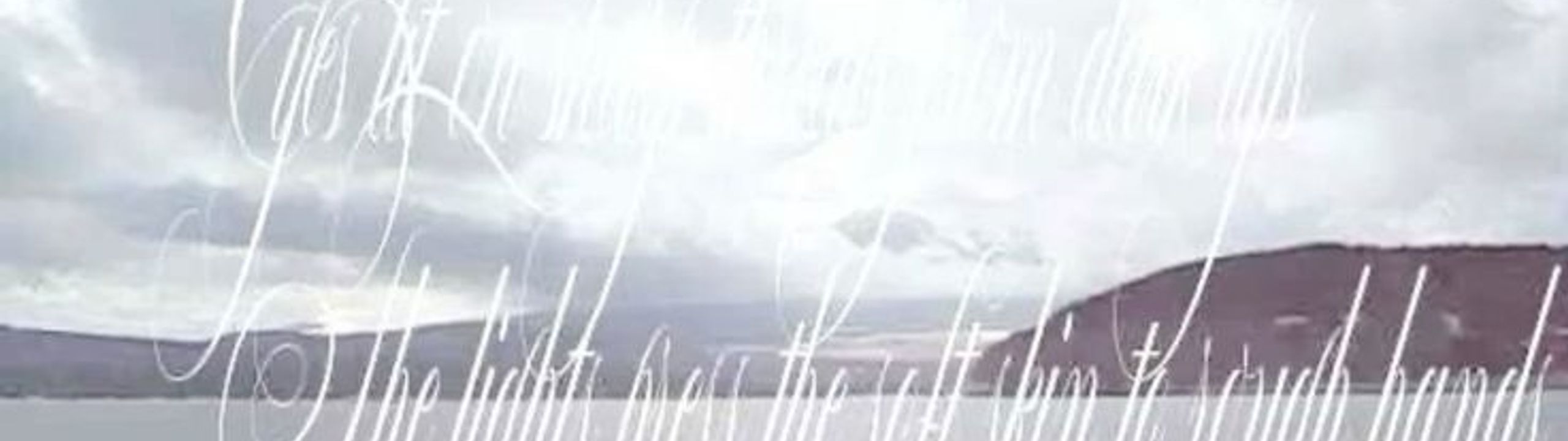 Profile Banner