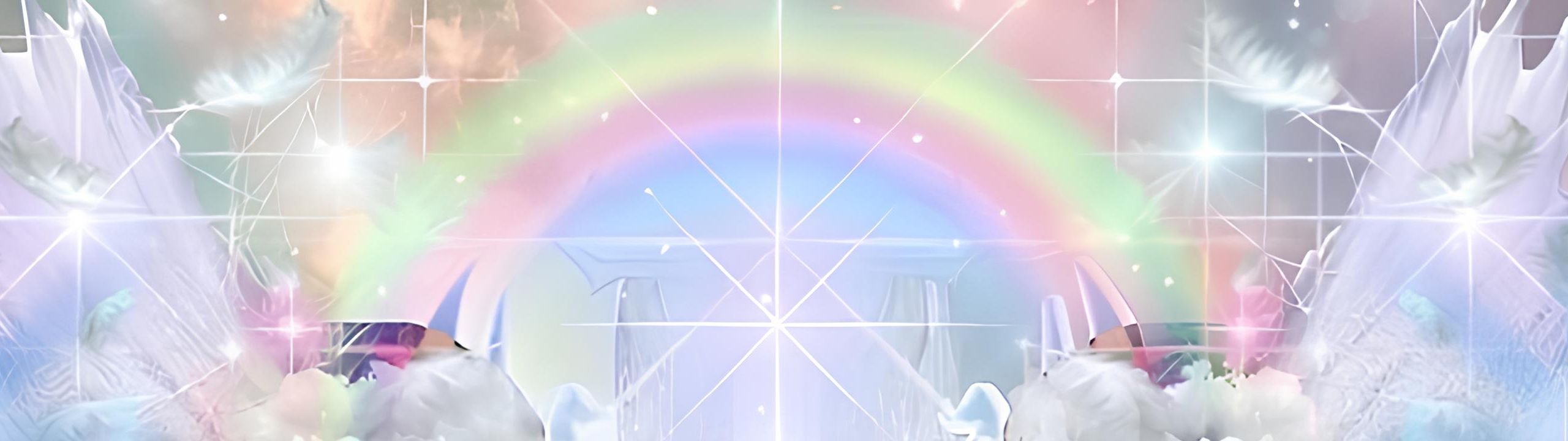Profile Banner
