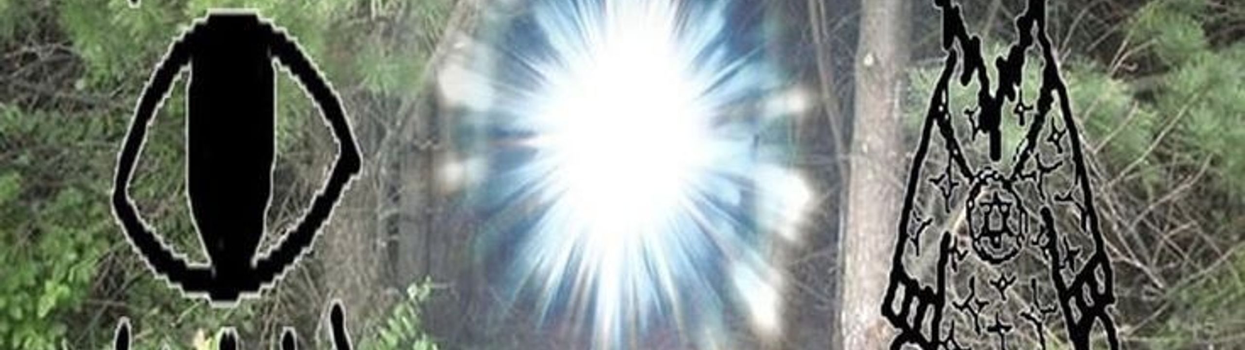 Profile Banner