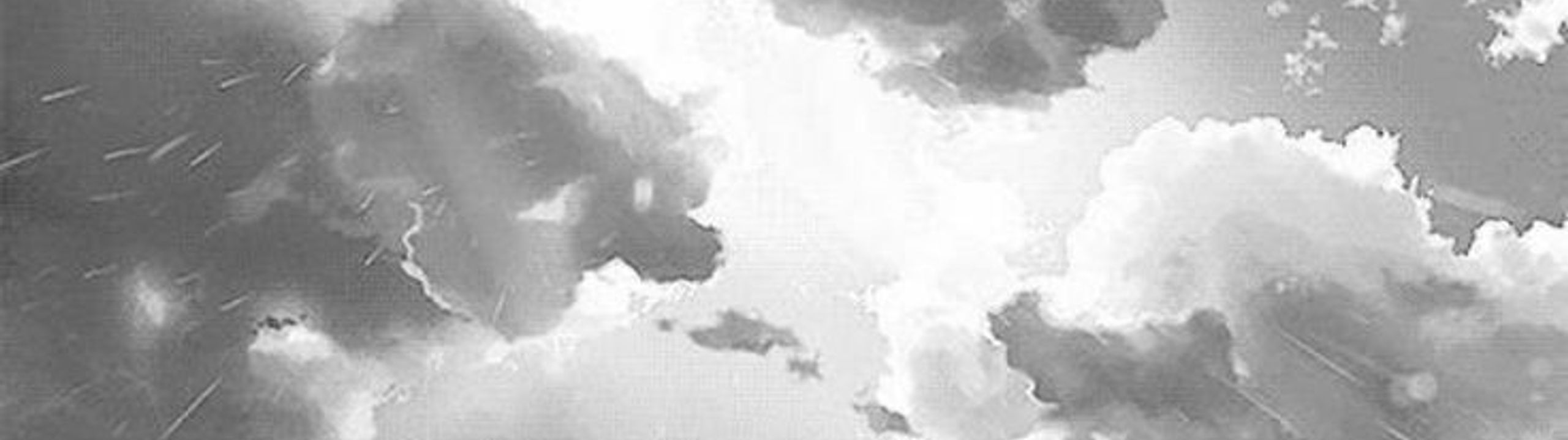 Profile Banner
