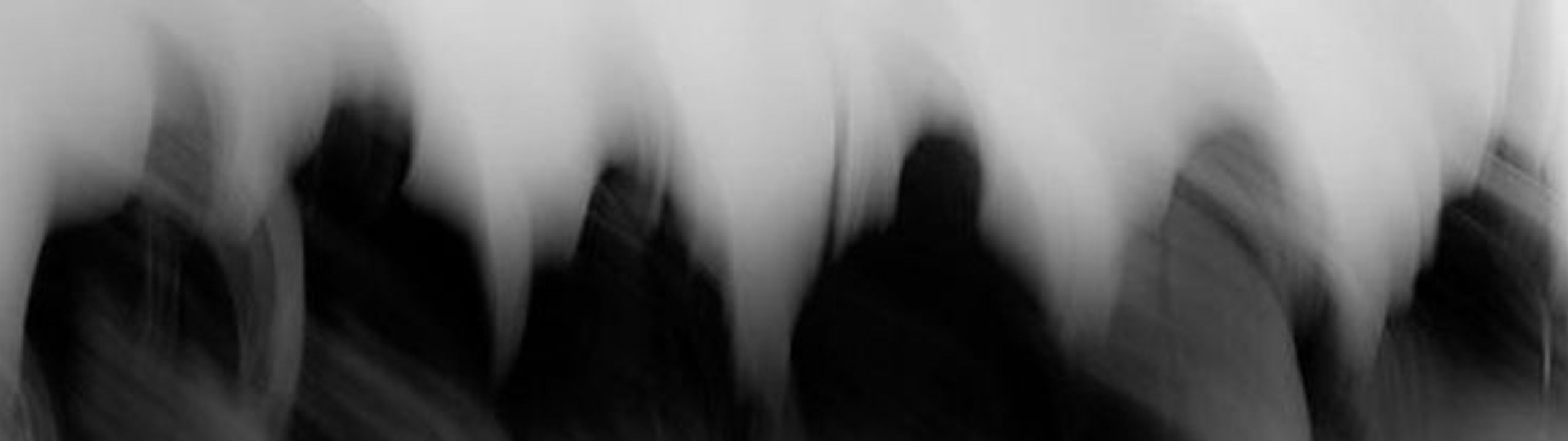 Profile Banner