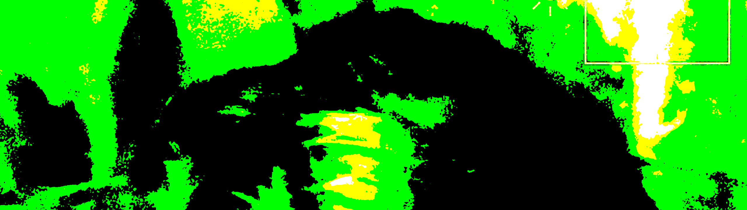 Profile Banner