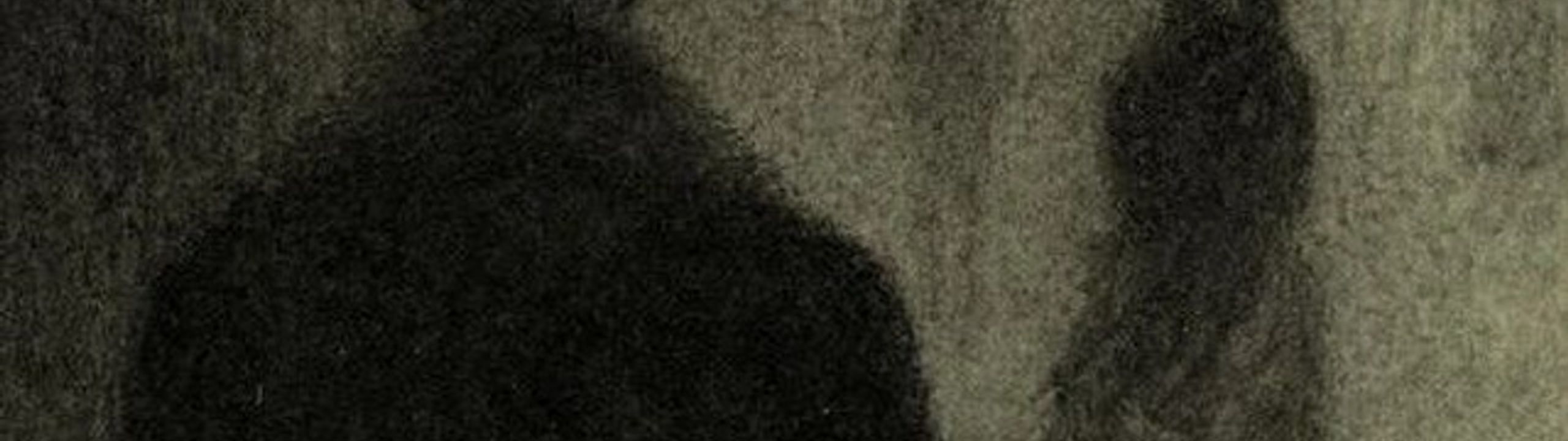 Profile Banner