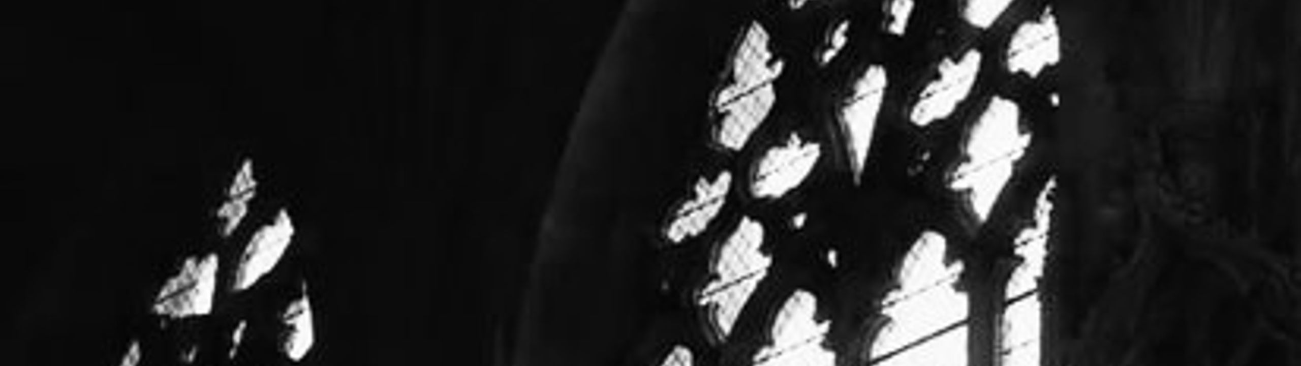 Profile Banner