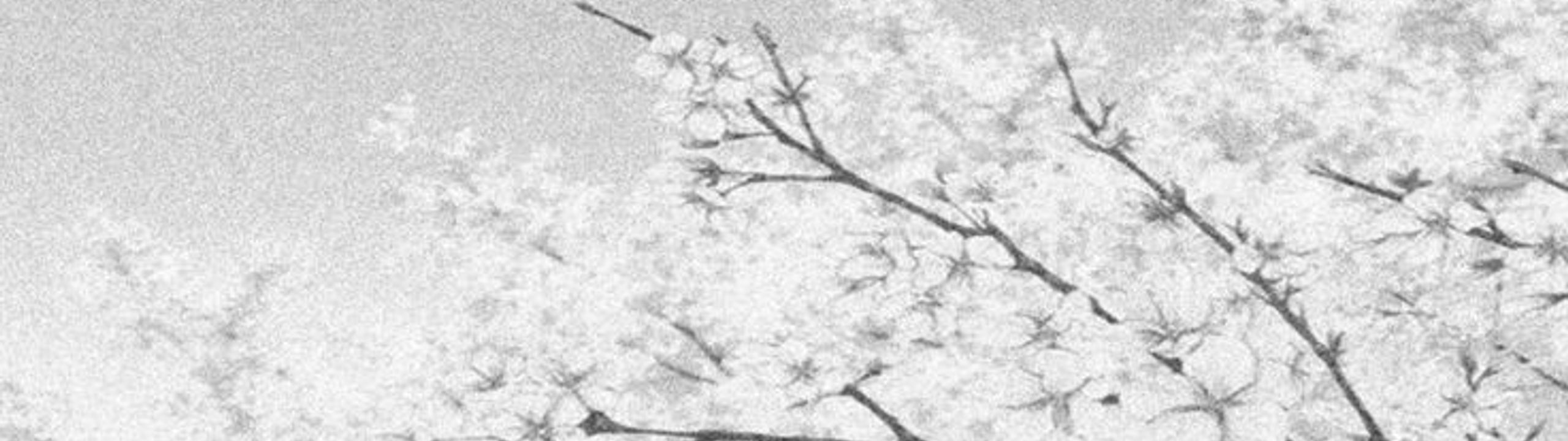 Profile Banner