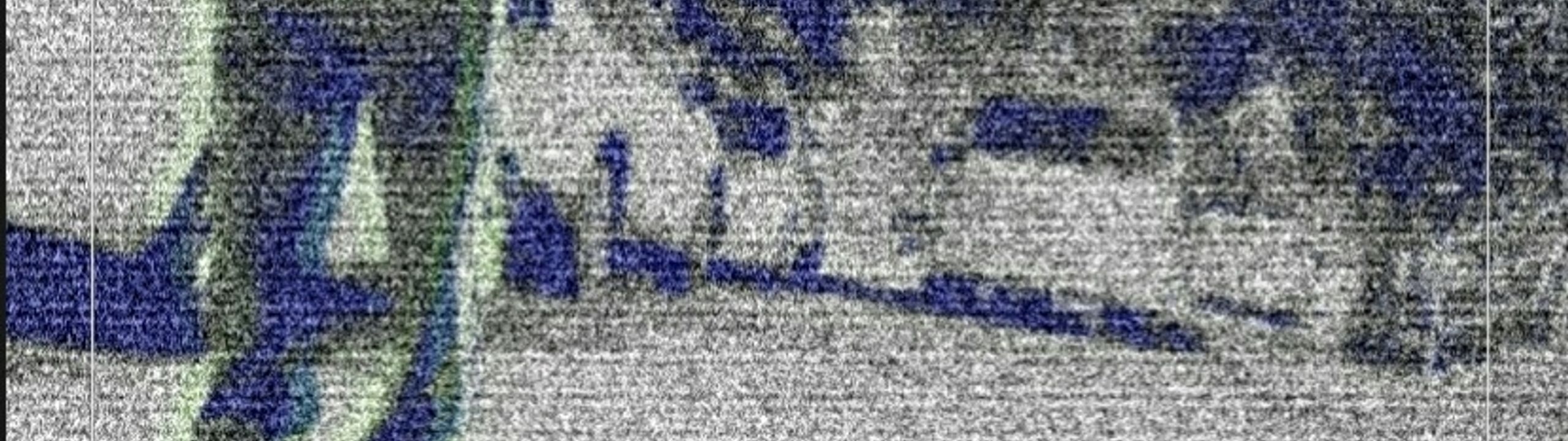 Profile Banner