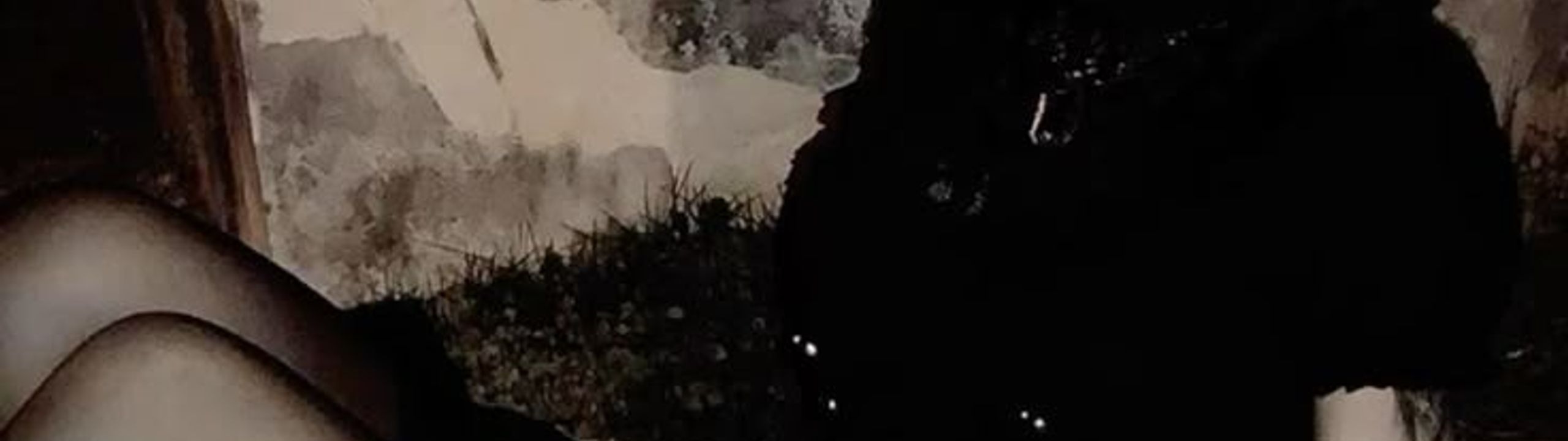 Profile Banner