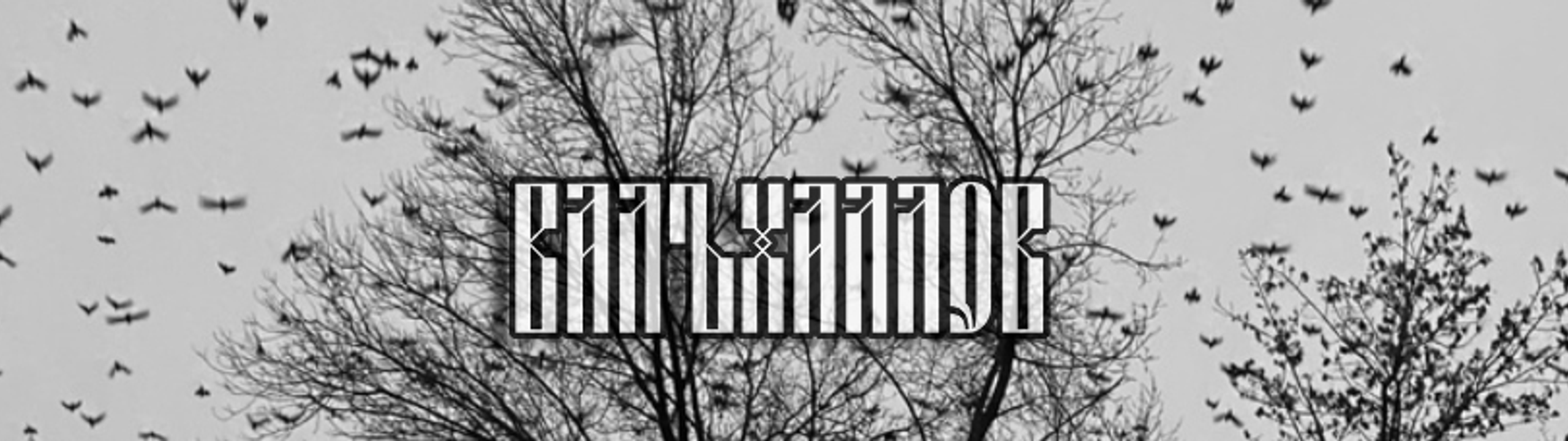 Profile Banner