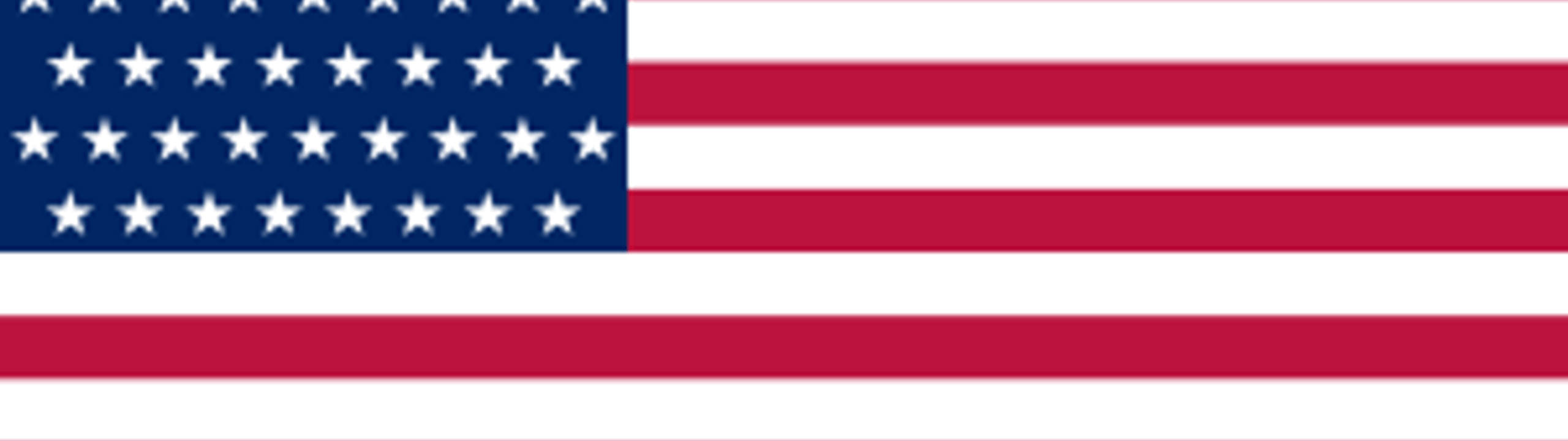 Profile Banner