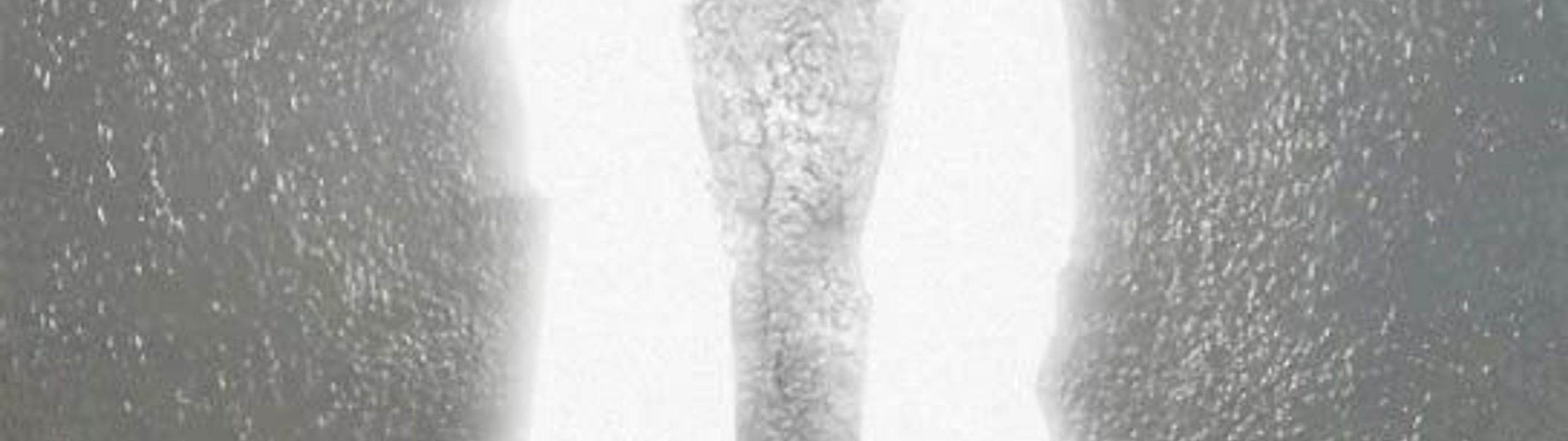 Profile Banner