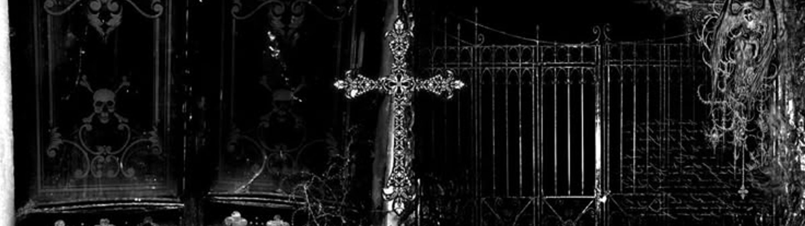 Profile Banner