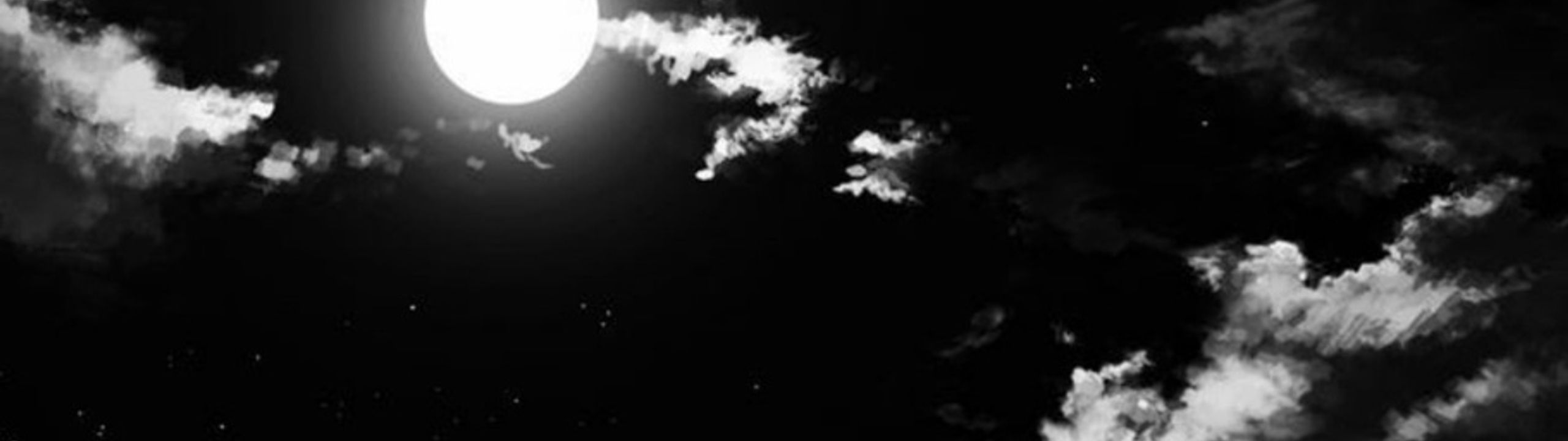 Profile Banner