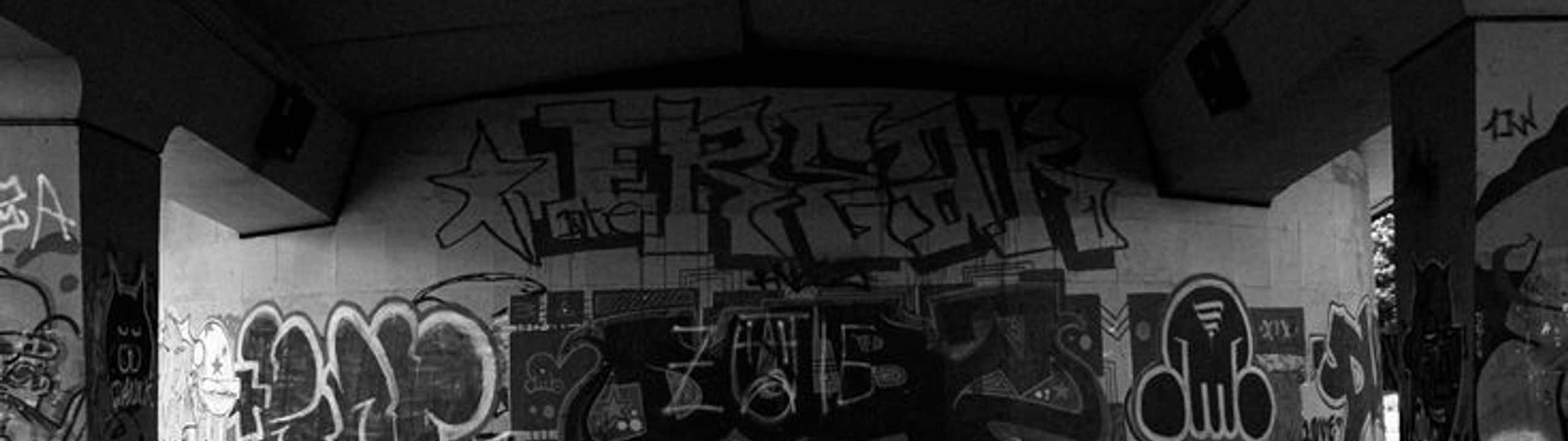 Profile Banner