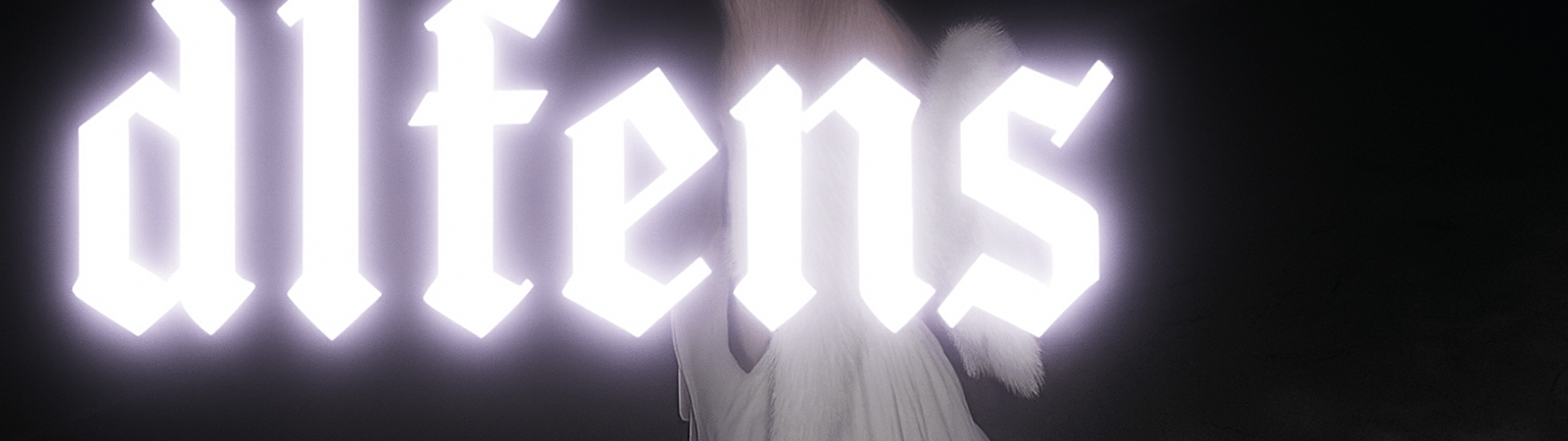 Profile Banner