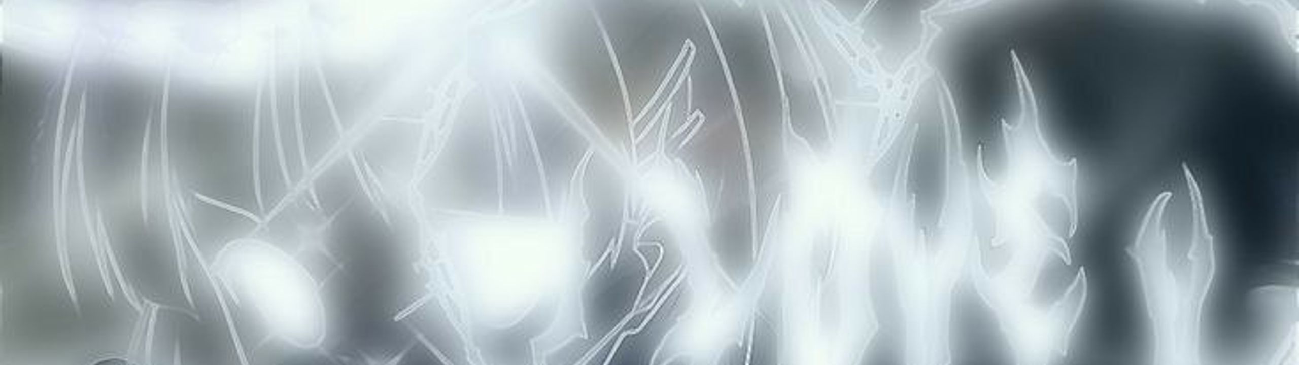Profile Banner