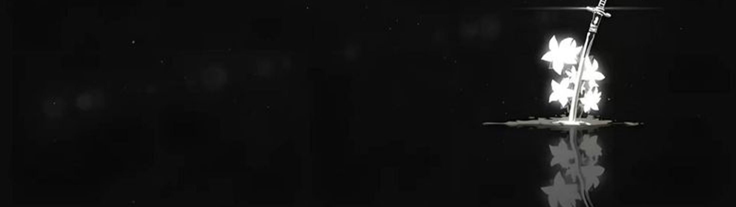 Profile Banner