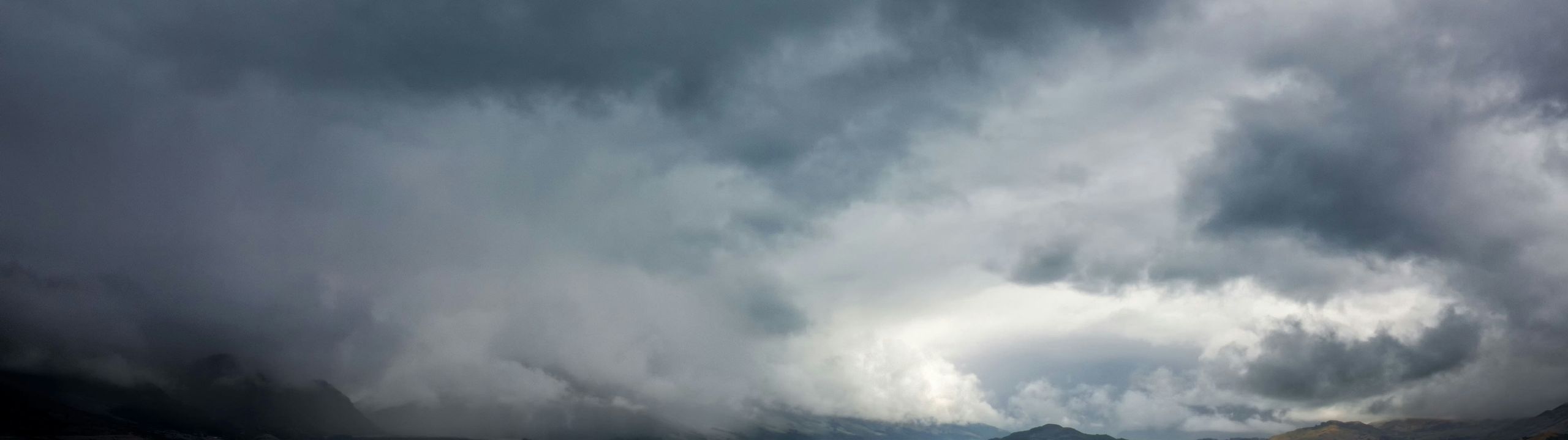 Profile Banner