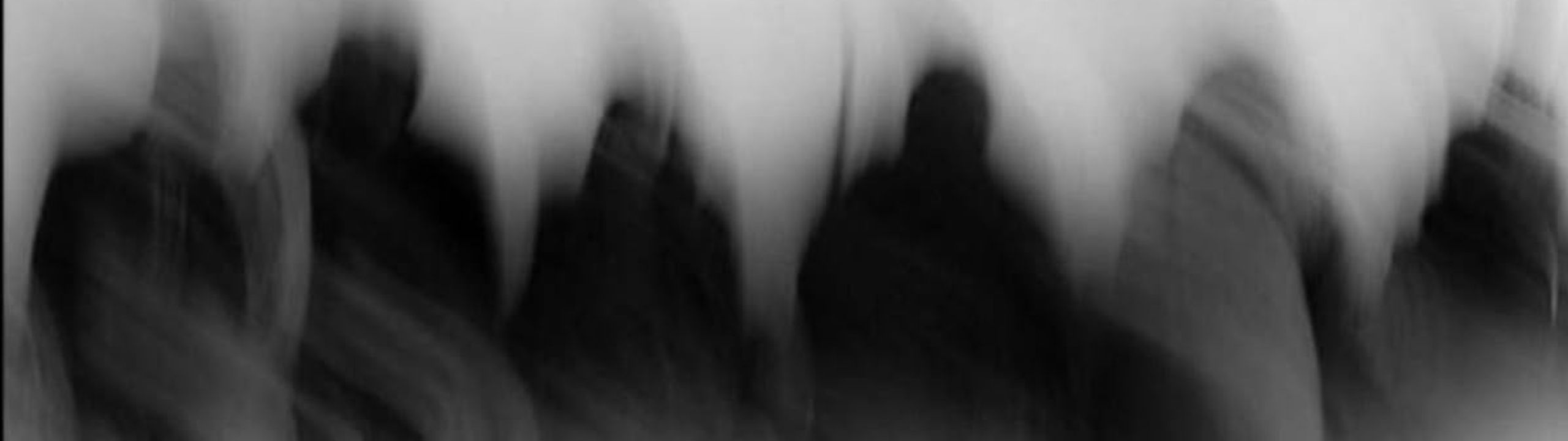 Profile Banner