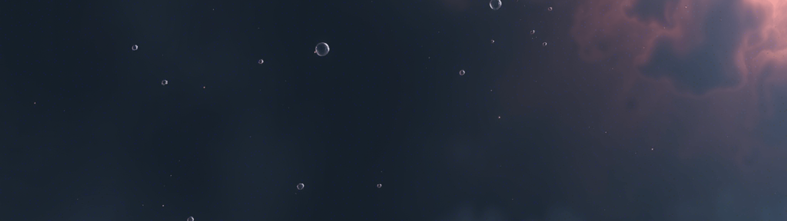 Profile Banner