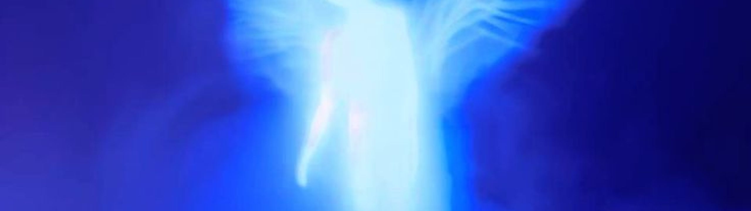 Profile Banner