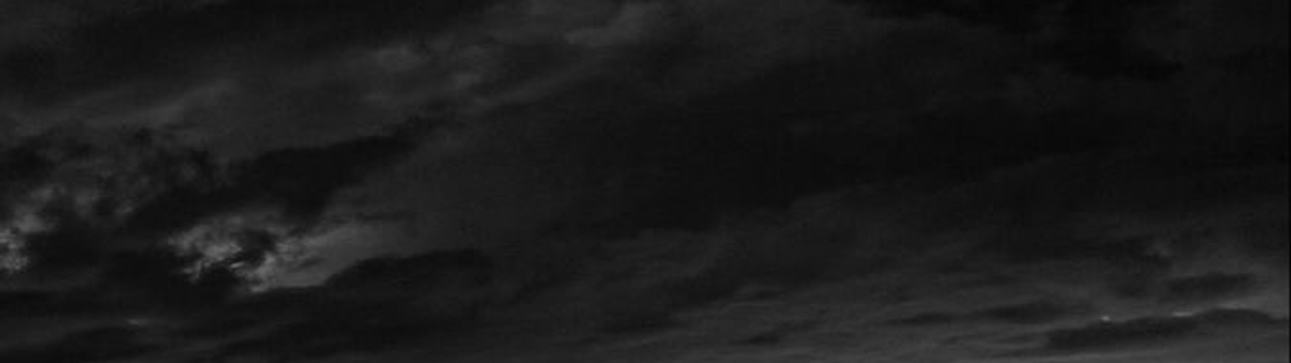 Profile Banner
