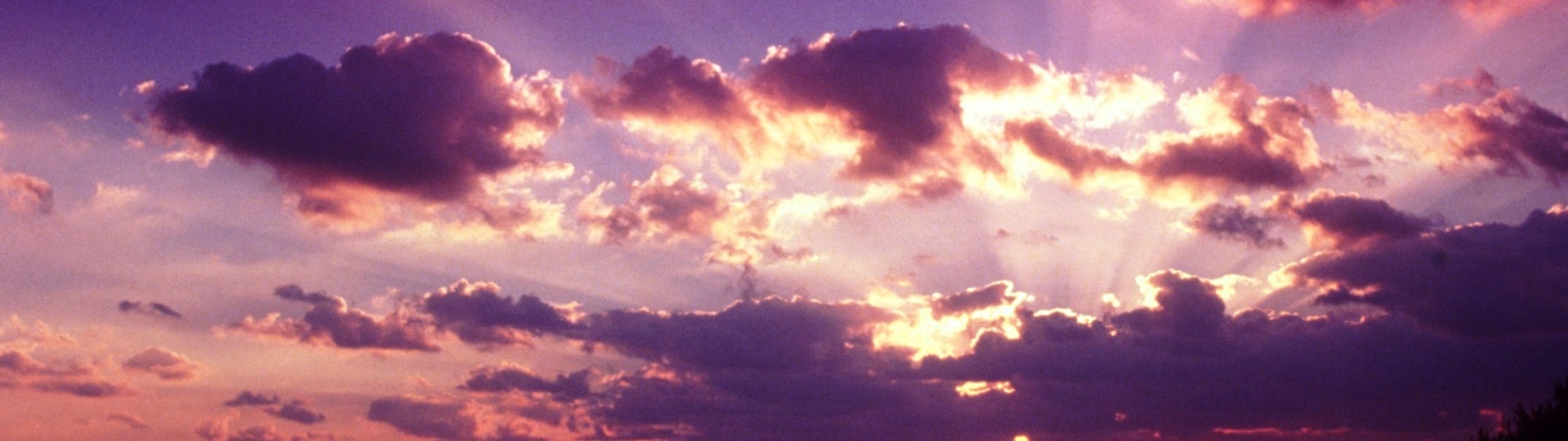 Profile Banner