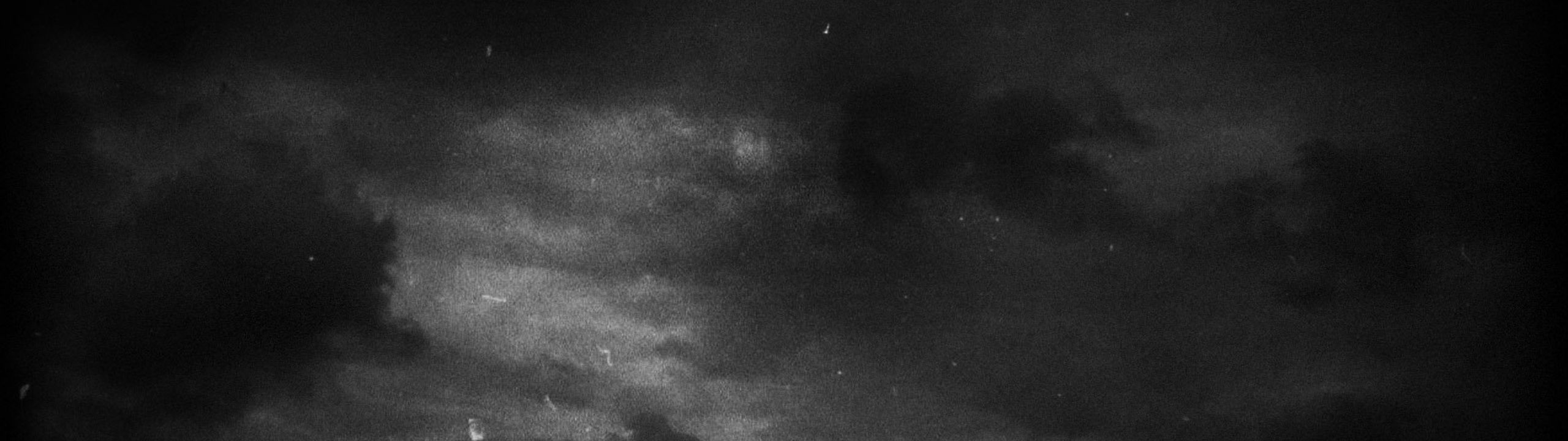 Profile Banner
