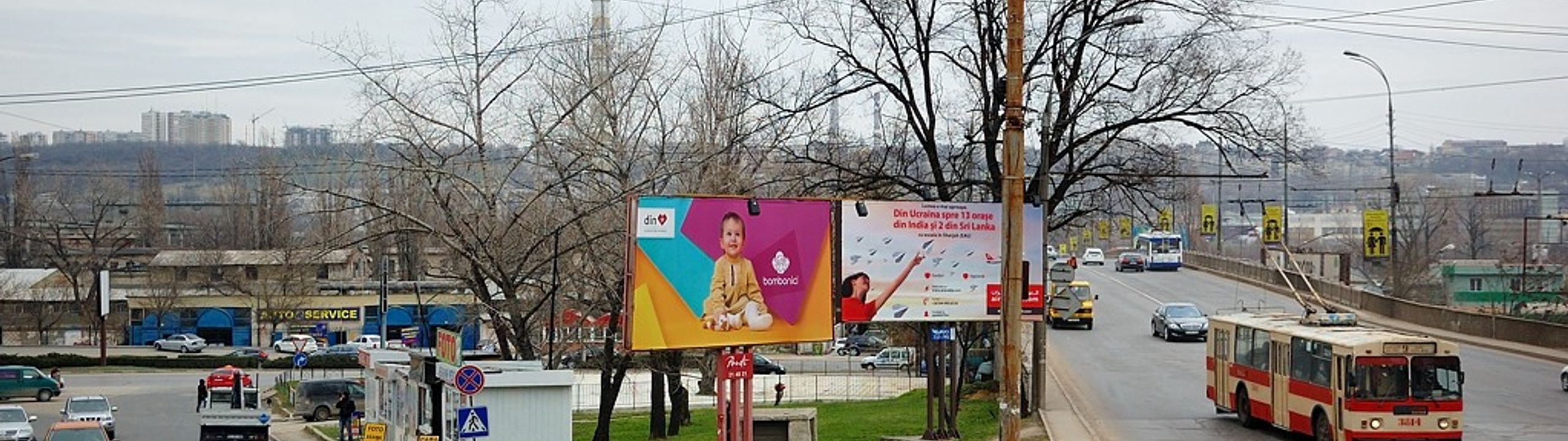 Profile Banner