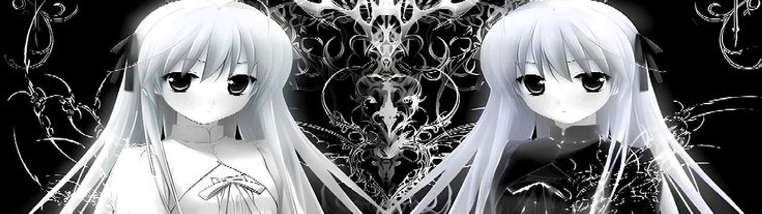 Profile Banner