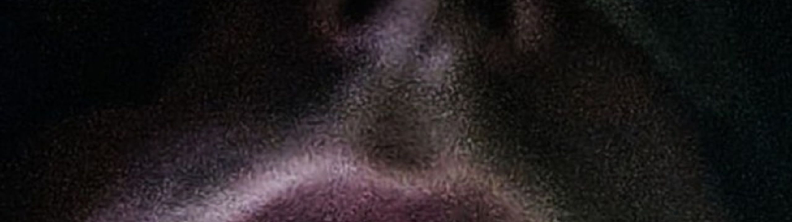 Profile Banner