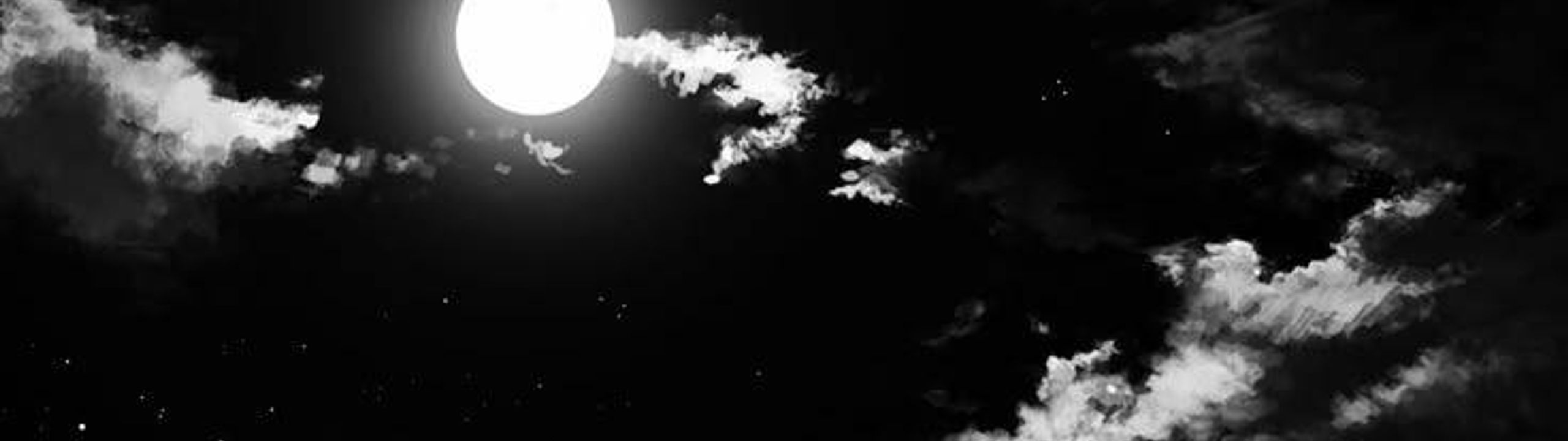 Profile Banner