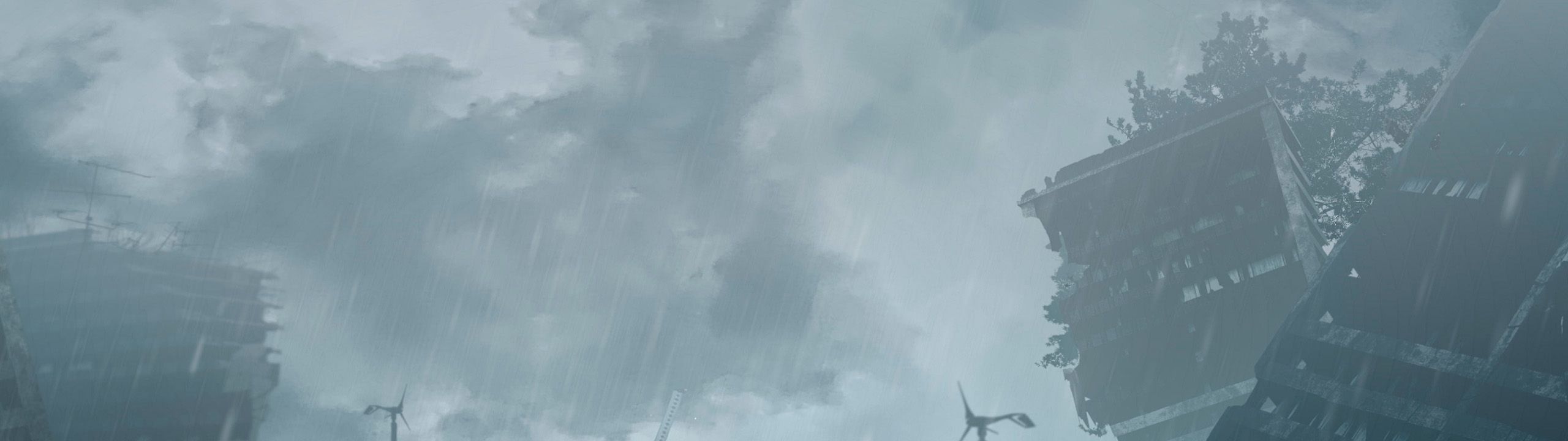 Profile Banner