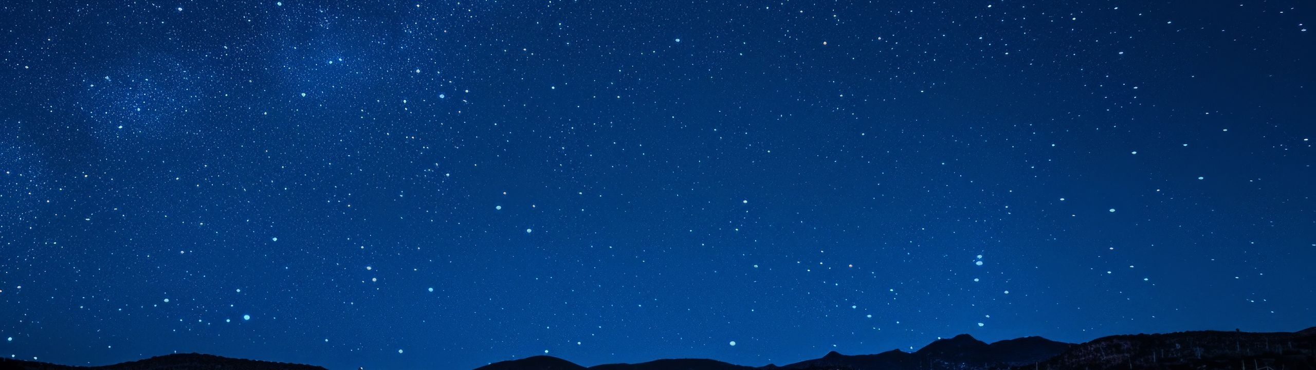 Profile Banner
