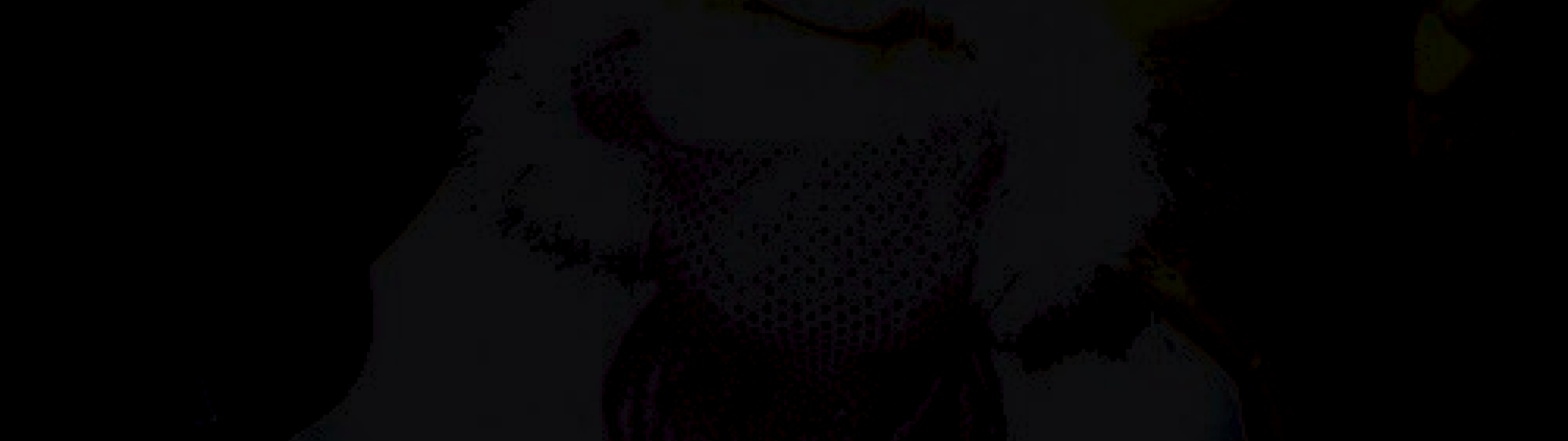 Profile Banner