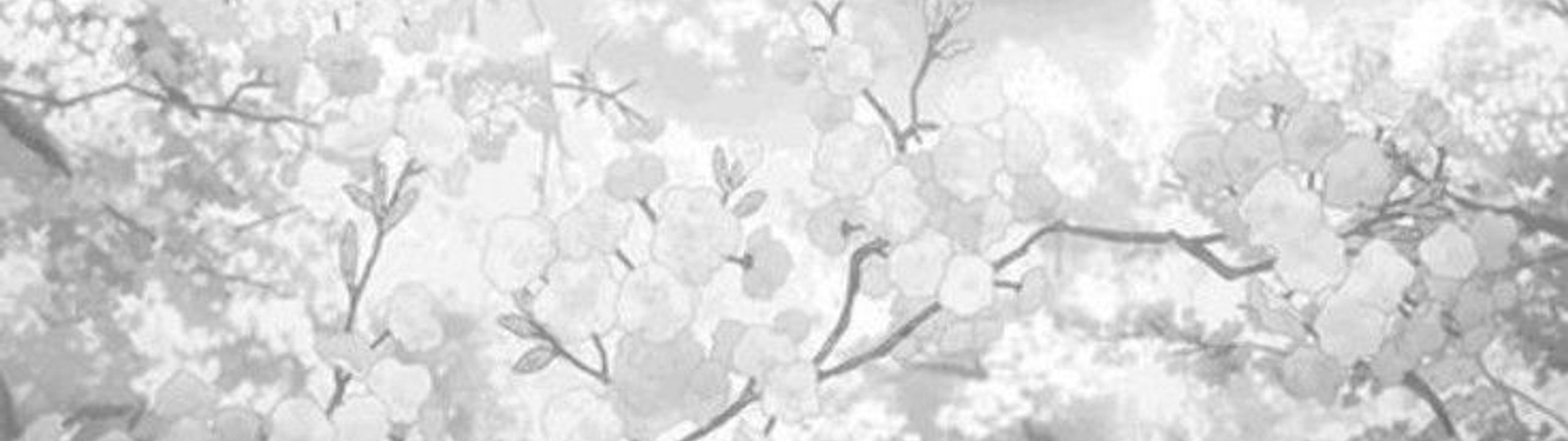 Profile Banner