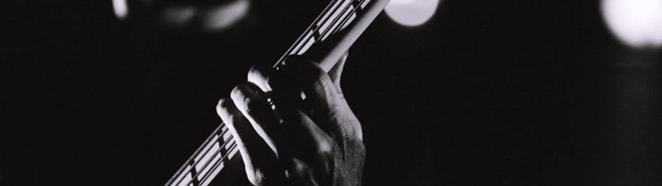 Profile Banner