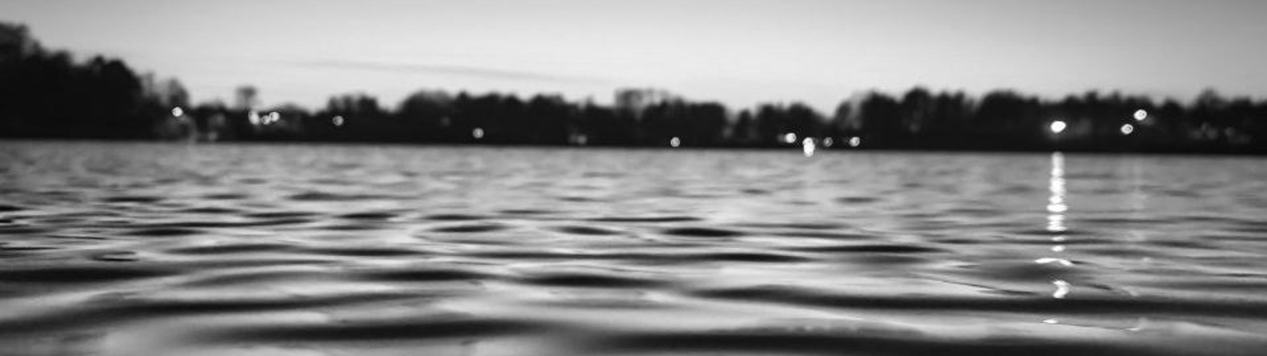 Profile Banner