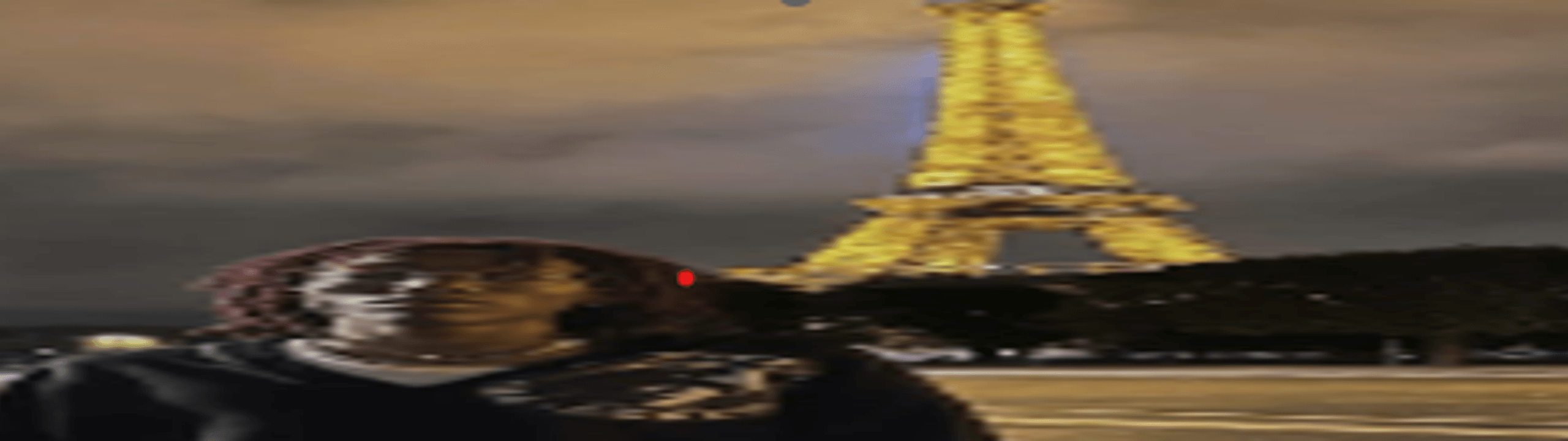 Profile Banner