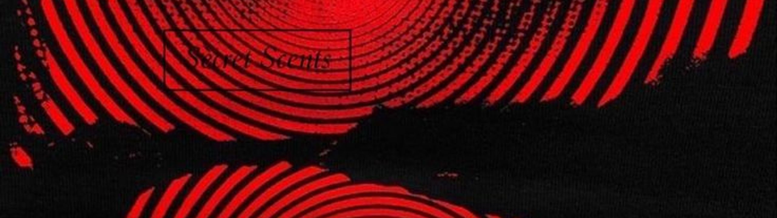 Profile Banner