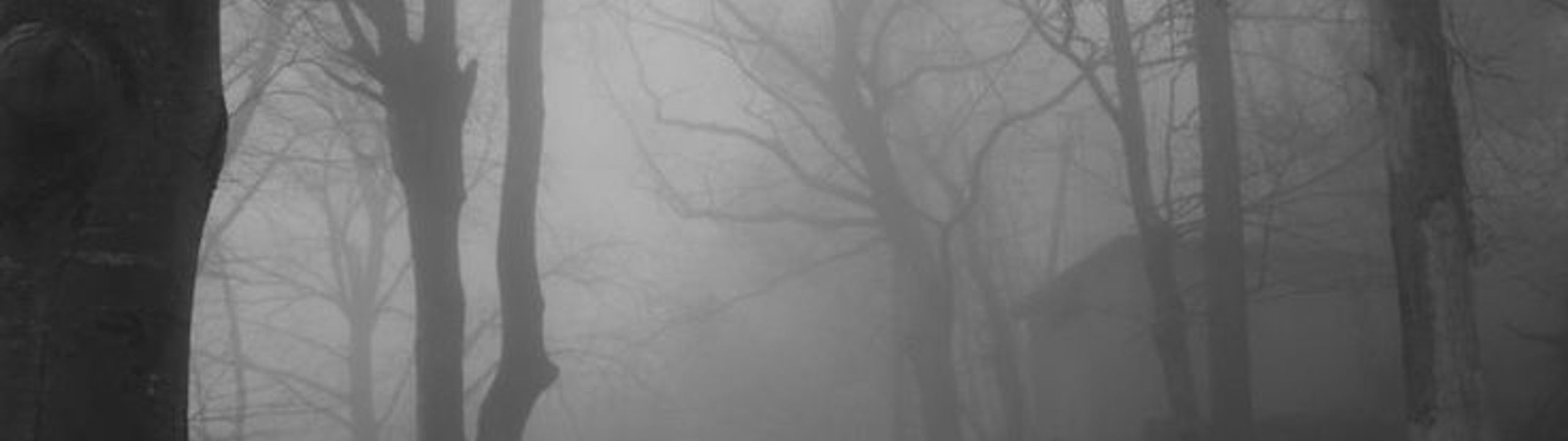 Profile Banner