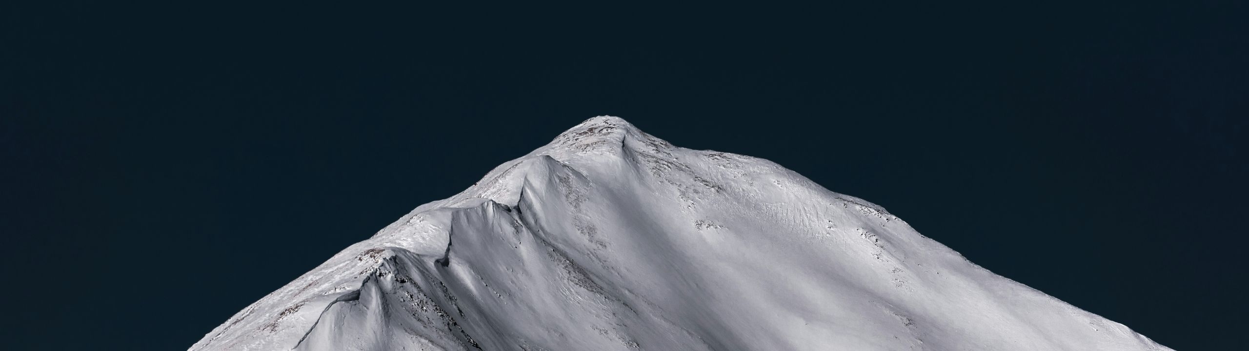 Profile Banner