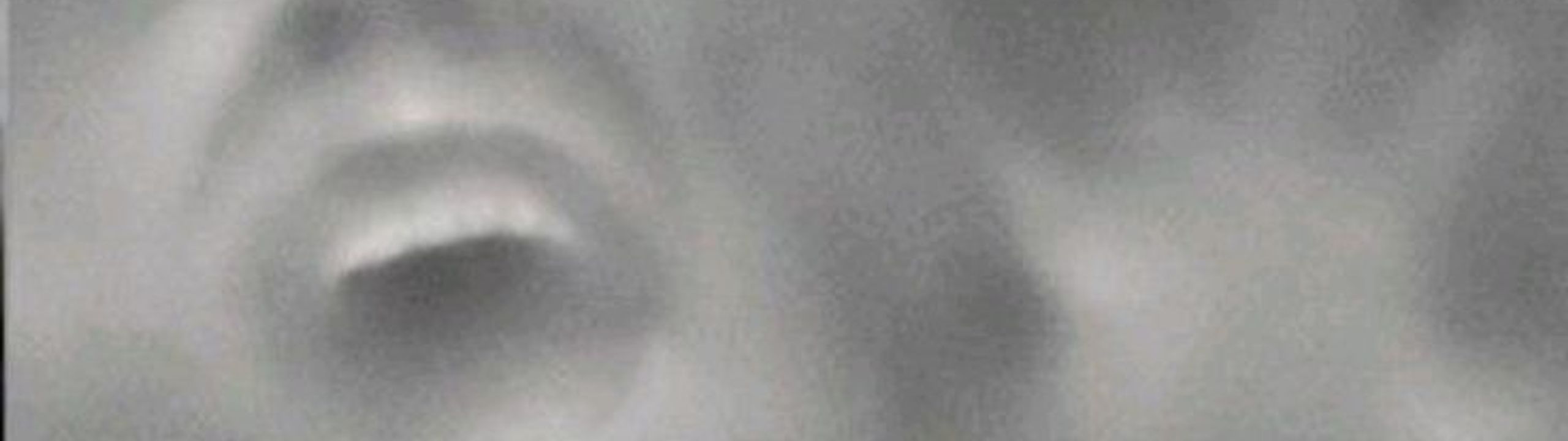 Profile Banner
