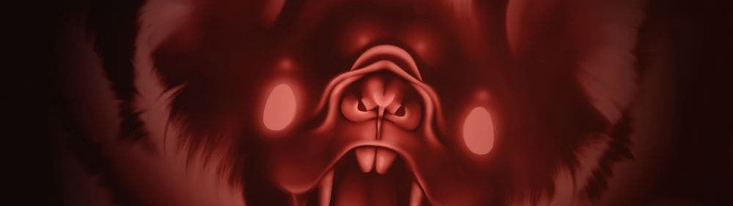 Profile Banner