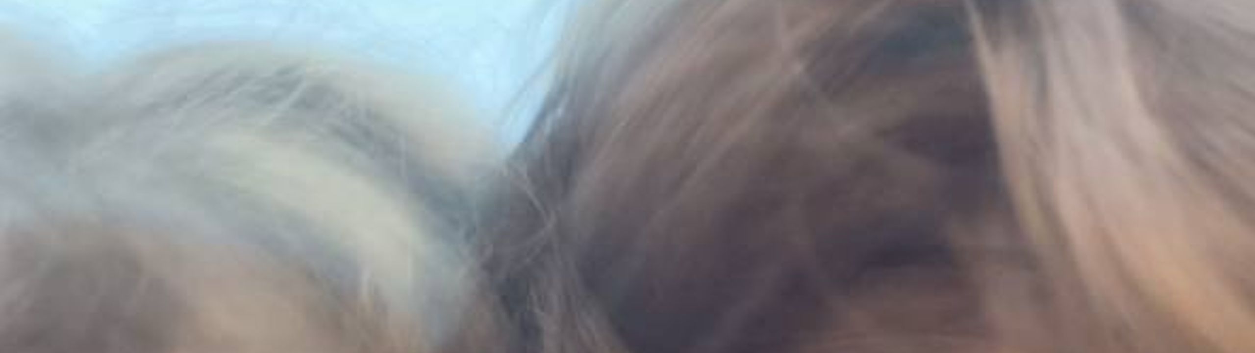 Profile Banner