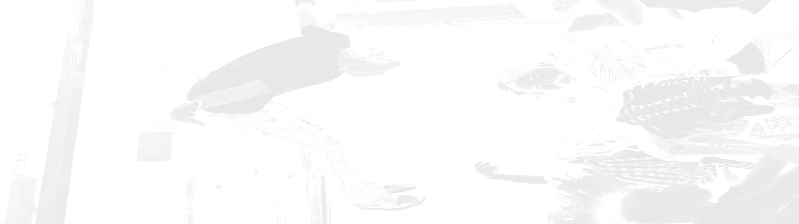 Profile Banner