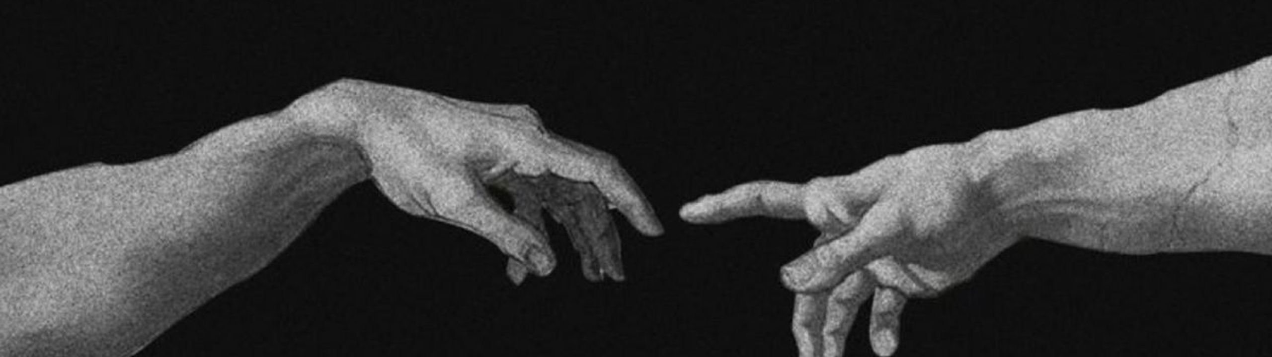 Profile Banner